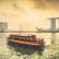 Singapore Review...